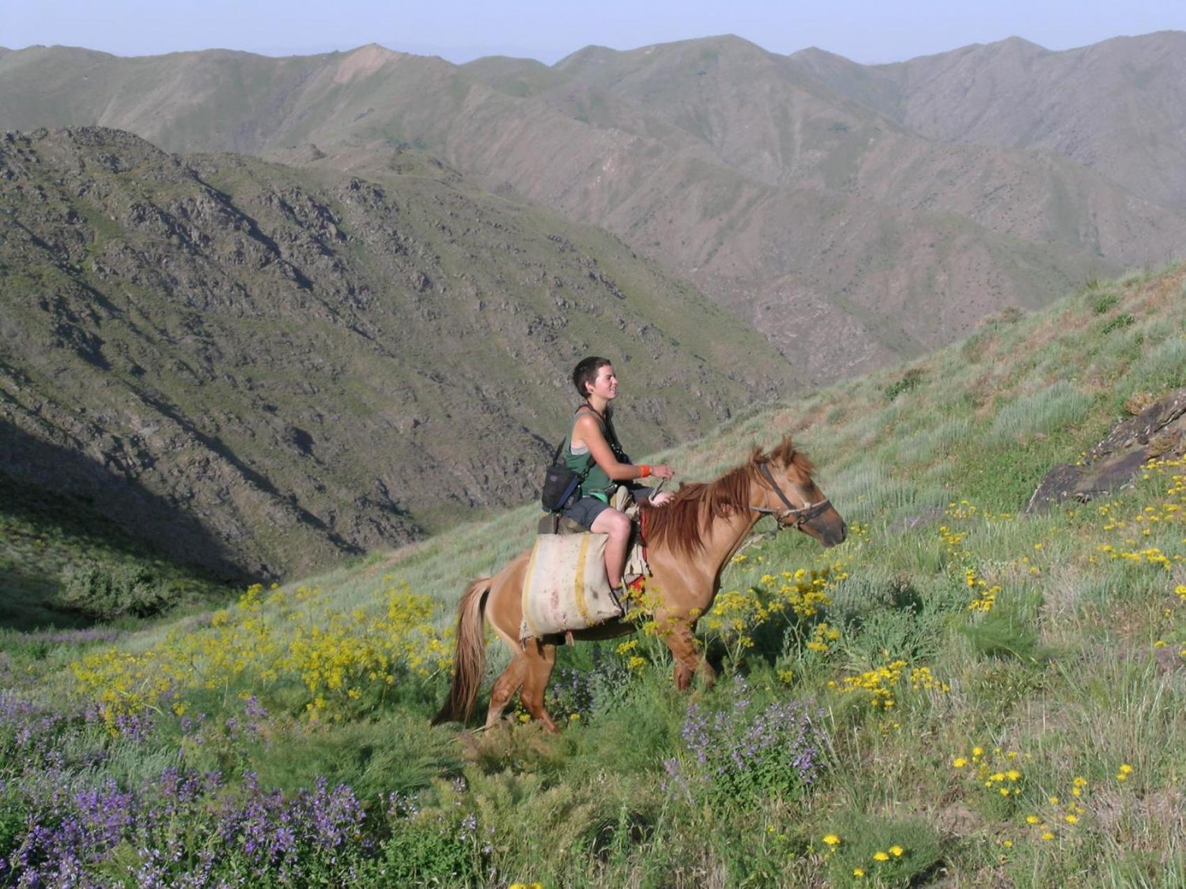 Hayat Guesthouse Nuratau Mountain Yukary-Ukhum エクステリア 写真