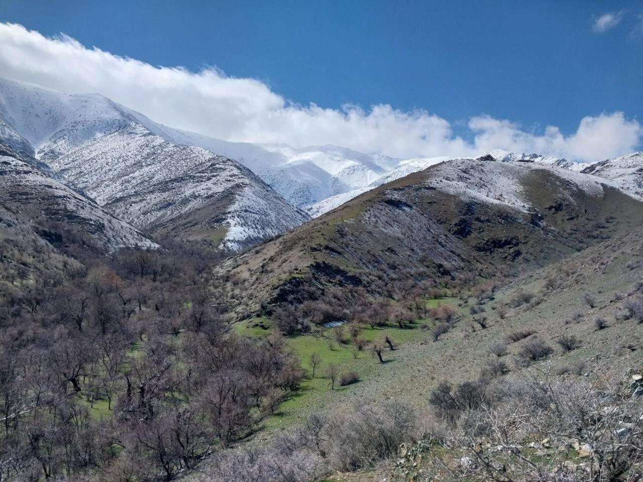 Hayat Guesthouse Nuratau Mountain Yukary-Ukhum エクステリア 写真